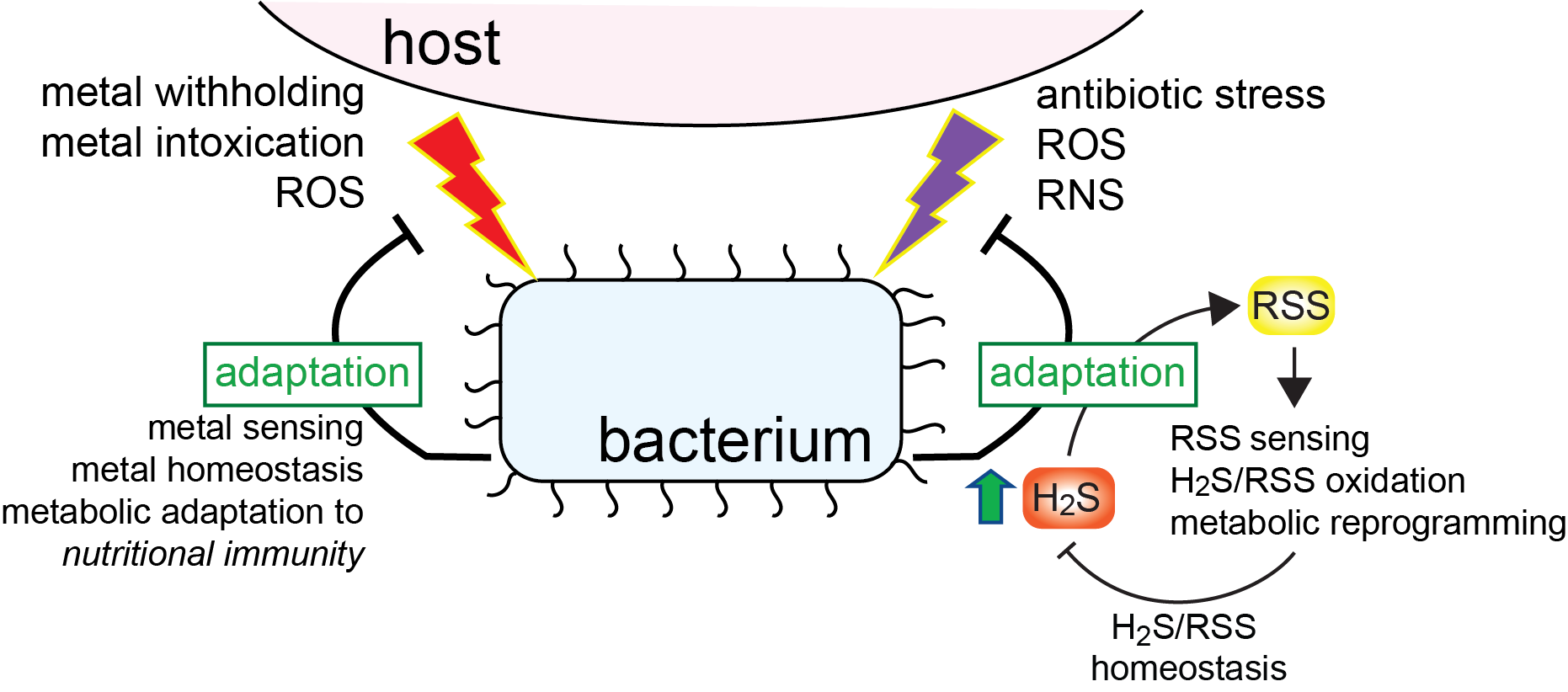 figure of current research